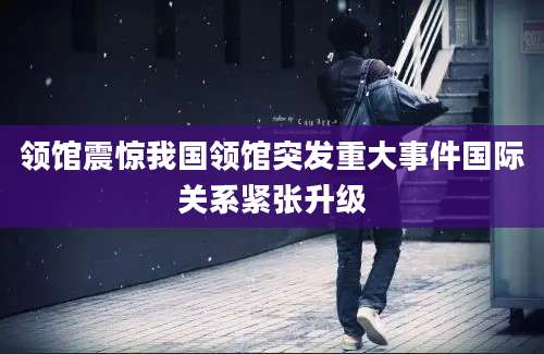 领馆震惊我国领馆突发重大事件国际关系紧张升级