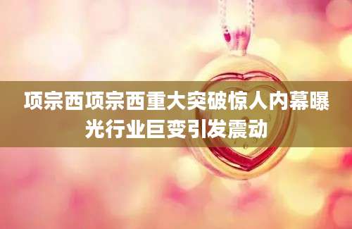 项宗西项宗西重大突破惊人内幕曝光行业巨变引发震动