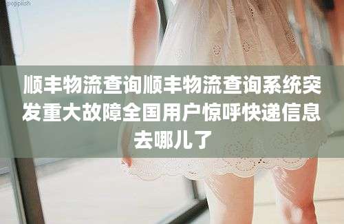 顺丰物流查询顺丰物流查询系统突发重大故障全国用户惊呼快递信息去哪儿了