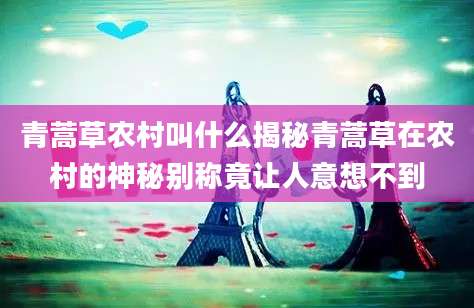 青蒿草农村叫什么揭秘青蒿草在农村的神秘别称竟让人意想不到
