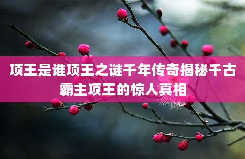 项王是谁项王之谜千年传奇揭秘千古霸主项王的惊人真相