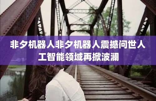非夕机器人非夕机器人震撼问世人工智能领域再掀波澜