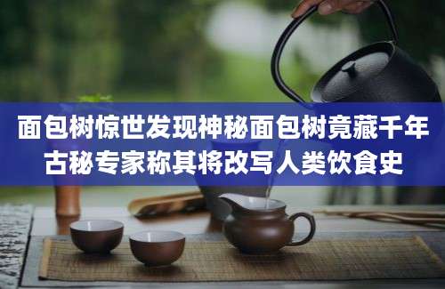 面包树惊世发现神秘面包树竟藏千年古秘专家称其将改写人类饮食史