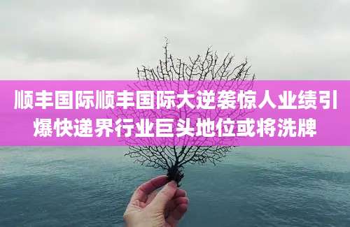 顺丰国际顺丰国际大逆袭惊人业绩引爆快递界行业巨头地位或将洗牌