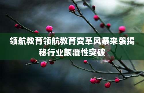 领航教育领航教育变革风暴来袭揭秘行业颠覆性突破