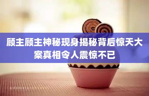 顾主顾主神秘现身揭秘背后惊天大案真相令人震惊不已