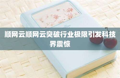 顺网云顺网云突破行业极限引发科技界震惊