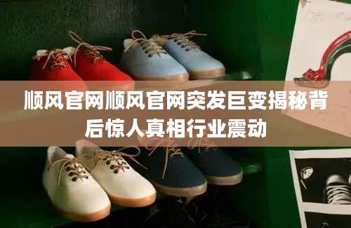 顺风官网顺风官网突发巨变揭秘背后惊人真相行业震动
