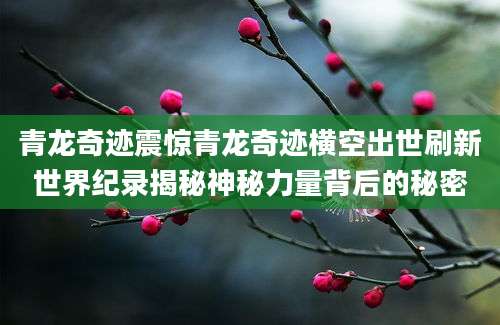 青龙奇迹震惊青龙奇迹横空出世刷新世界纪录揭秘神秘力量背后的秘密