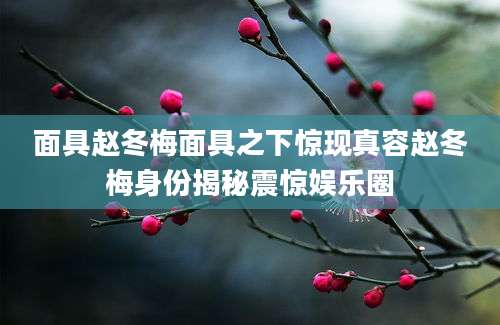 面具赵冬梅面具之下惊现真容赵冬梅身份揭秘震惊娱乐圈
