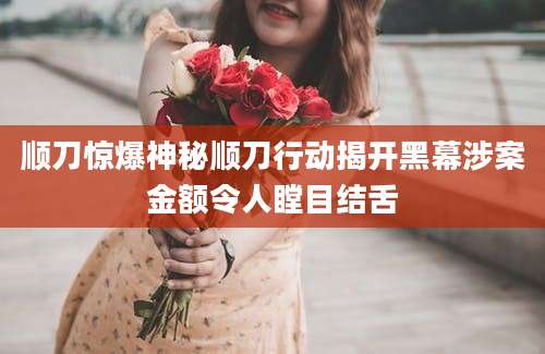 顺刀惊爆神秘顺刀行动揭开黑幕涉案金额令人瞠目结舌