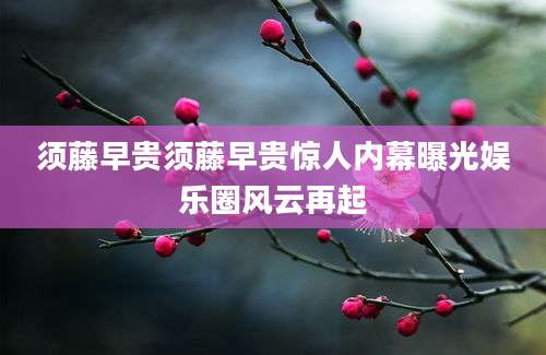 须藤早贵须藤早贵惊人内幕曝光娱乐圈风云再起