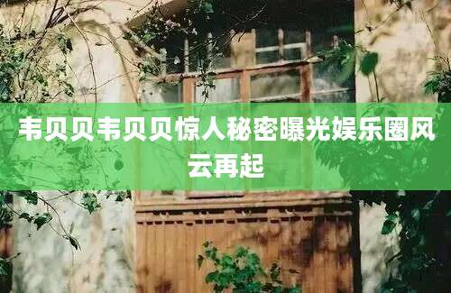 韦贝贝韦贝贝惊人秘密曝光娱乐圈风云再起