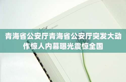 青海省公安厅青海省公安厅突发大动作惊人内幕曝光震惊全国