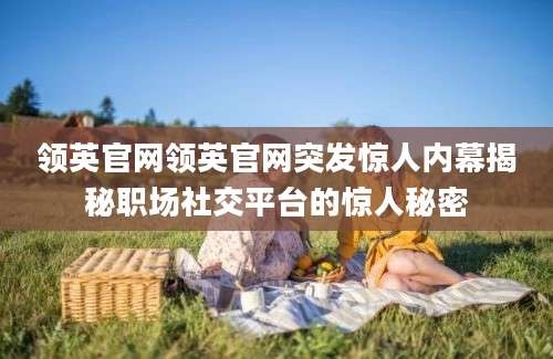 领英官网领英官网突发惊人内幕揭秘职场社交平台的惊人秘密