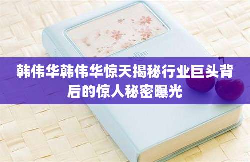 韩伟华韩伟华惊天揭秘行业巨头背后的惊人秘密曝光