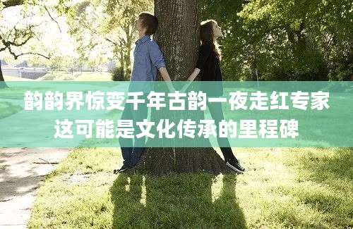 韵韵界惊变千年古韵一夜走红专家这可能是文化传承的里程碑
