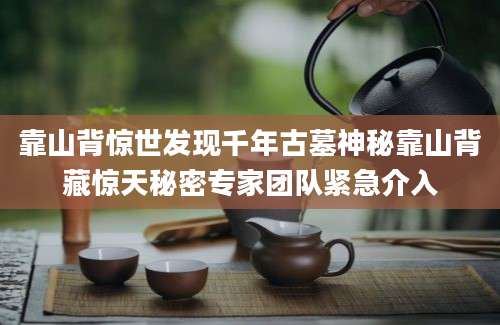 靠山背惊世发现千年古墓神秘靠山背藏惊天秘密专家团队紧急介入