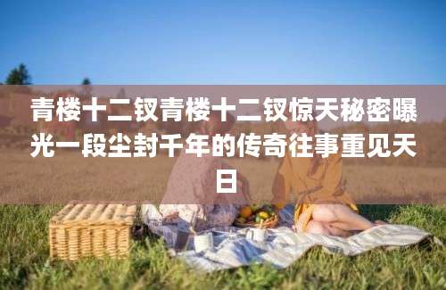 青楼十二钗青楼十二钗惊天秘密曝光一段尘封千年的传奇往事重见天日
