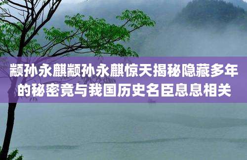 颛孙永麒颛孙永麒惊天揭秘隐藏多年的秘密竟与我国历史名臣息息相关
