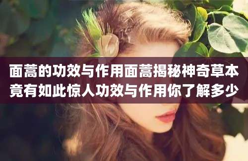 面蒿的功效与作用面蒿揭秘神奇草本竟有如此惊人功效与作用你了解多少