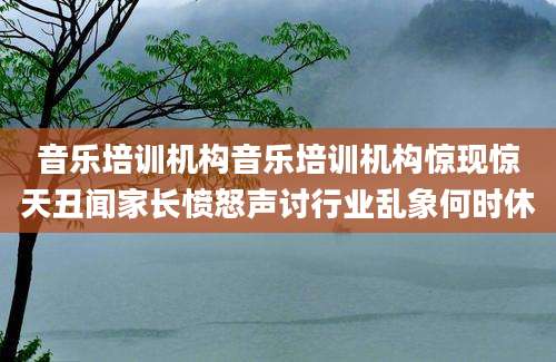 音乐培训机构音乐培训机构惊现惊天丑闻家长愤怒声讨行业乱象何时休