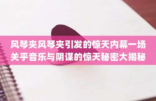 风琴夹风琴夹引发的惊天内幕一场关乎音乐与阴谋的惊天秘密大揭秘