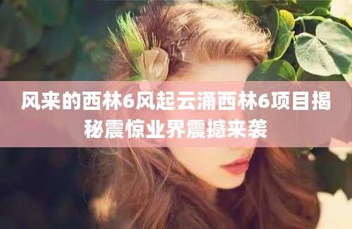 风来的西林6风起云涌西林6项目揭秘震惊业界震撼来袭