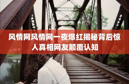 风情网风情网一夜爆红揭秘背后惊人真相网友颠覆认知