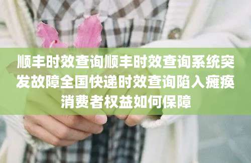 顺丰时效查询顺丰时效查询系统突发故障全国快递时效查询陷入瘫痪消费者权益如何保障