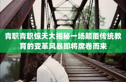 青职青职惊天大揭秘一场颠覆传统教育的变革风暴即将席卷而来