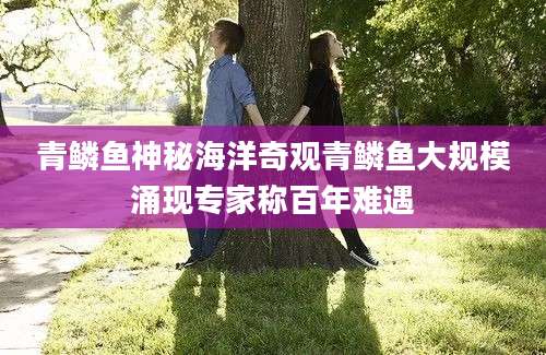 青鳞鱼神秘海洋奇观青鳞鱼大规模涌现专家称百年难遇