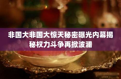 非国大非国大惊天秘密曝光内幕揭秘权力斗争再掀波澜