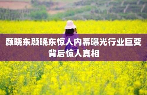 颜晓东颜晓东惊人内幕曝光行业巨变背后惊人真相