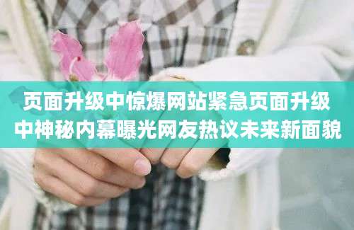 页面升级中惊爆网站紧急页面升级中神秘内幕曝光网友热议未来新面貌