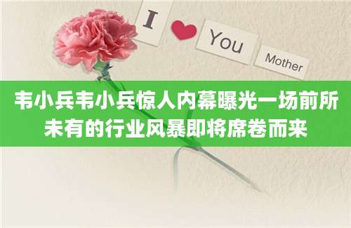 韦小兵韦小兵惊人内幕曝光一场前所未有的行业风暴即将席卷而来
