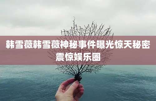 韩雪薇韩雪薇神秘事件曝光惊天秘密震惊娱乐圈