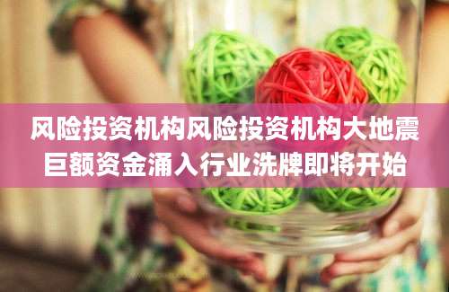 风险投资机构风险投资机构大地震巨额资金涌入行业洗牌即将开始