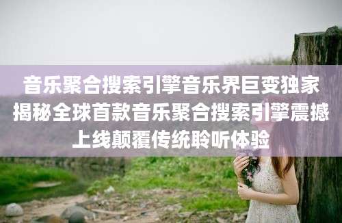 音乐聚合搜索引擎音乐界巨变独家揭秘全球首款音乐聚合搜索引擎震撼上线颠覆传统聆听体验