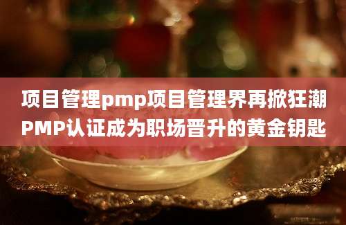 项目管理pmp项目管理界再掀狂潮PMP认证成为职场晋升的黄金钥匙
