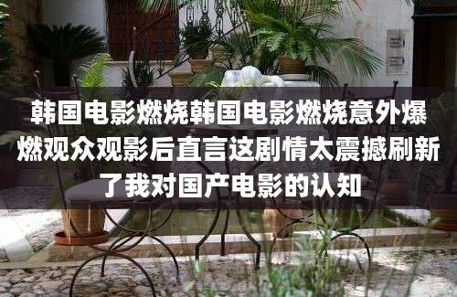 韩国电影燃烧韩国电影燃烧意外爆燃观众观影后直言这剧情太震撼刷新了我对国产电影的认知