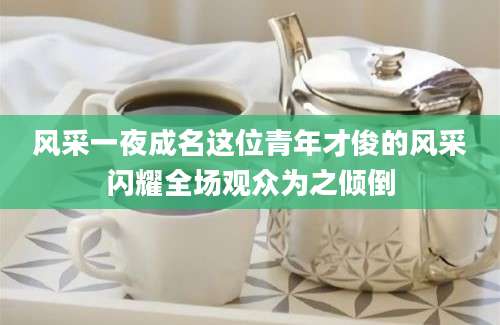 风采一夜成名这位青年才俊的风采闪耀全场观众为之倾倒