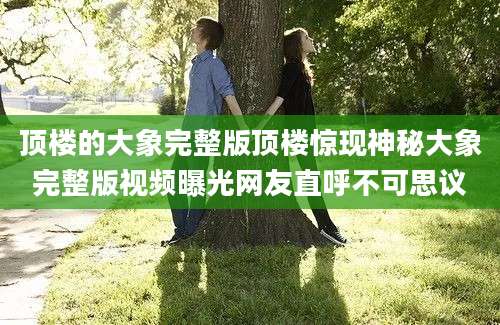 顶楼的大象完整版顶楼惊现神秘大象完整版视频曝光网友直呼不可思议