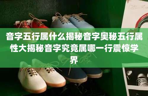 音字五行属什么揭秘音字奥秘五行属性大揭秘音字究竟属哪一行震惊学界