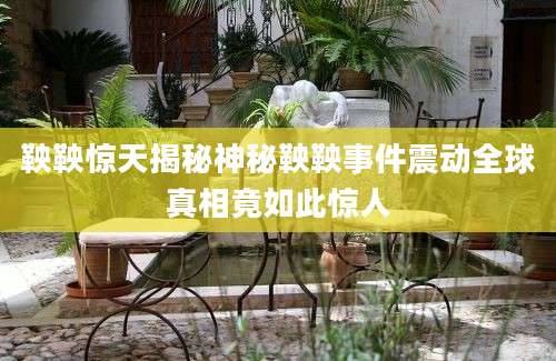 鞅鞅惊天揭秘神秘鞅鞅事件震动全球真相竟如此惊人