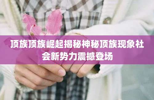 顶族顶族崛起揭秘神秘顶族现象社会新势力震撼登场