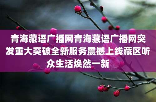 青海藏语广播网青海藏语广播网突发重大突破全新服务震撼上线藏区听众生活焕然一新