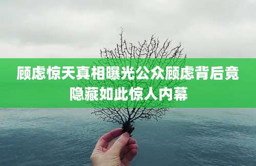 顾虑惊天真相曝光公众顾虑背后竟隐藏如此惊人内幕