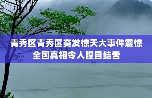 青秀区青秀区突发惊天大事件震惊全国真相令人瞠目结舌