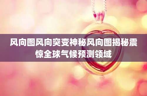 风向图风向突变神秘风向图揭秘震惊全球气候预测领域